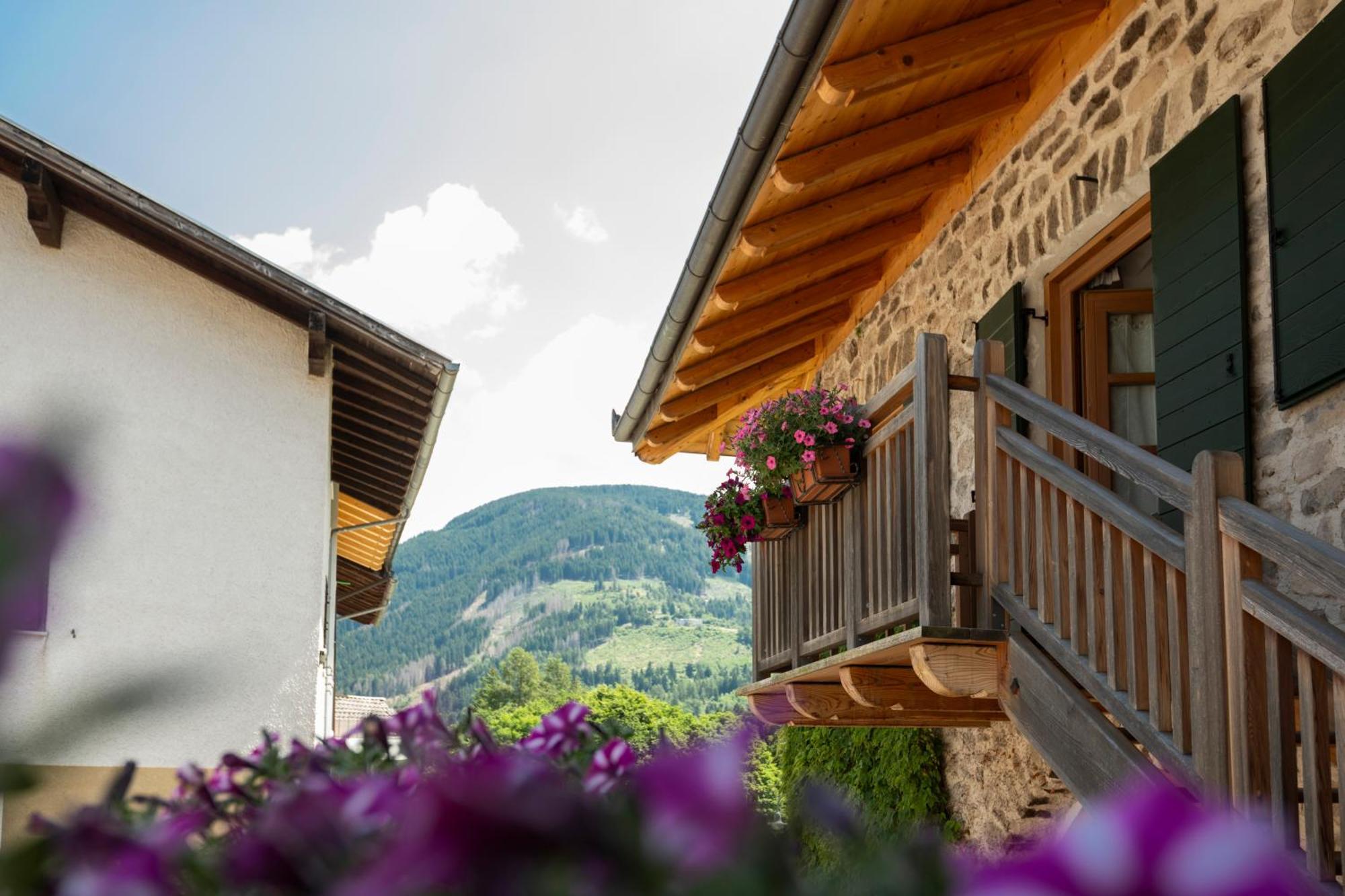 B&B Le Molinare Home Relax Varda Exterior photo